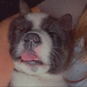 Meet your Posher, Savana